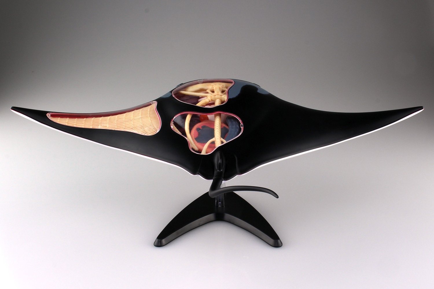 Amazon.co.jp: 青島文化教材社 スカイネット 立体パズル 4D